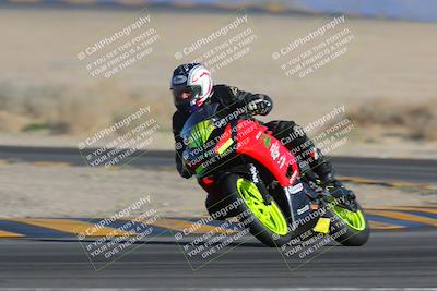 media/Feb-04-2023-SoCal Trackdays (Sat) [[8a776bf2c3]]/Turn 4 (Tree of Life 2pm)/